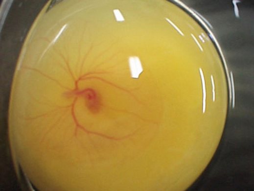 اضغط على الصورة لعرض أكبر.&nbsp;

الإسم:	3.jpg&nbsp;
مشاهدات:	1&nbsp;
الحجم:	19.3 كيلوبايت&nbsp;
الهوية:	847360