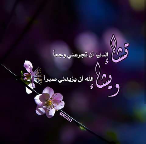 اضغط على الصورة لعرض أكبر.&nbsp;

الإسم:	FB_IMG_1480723917433.jpg&nbsp;
مشاهدات:	1&nbsp;
الحجم:	15.1 كيلوبايت&nbsp;
الهوية:	860366