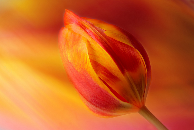 اضغط على الصورة لعرض أكبر.&nbsp;

الإسم:	5698485255c9a1decccfz (1).jpg&nbsp;
مشاهدات:	1&nbsp;
الحجم:	96.3 كيلوبايت&nbsp;
الهوية:	840502