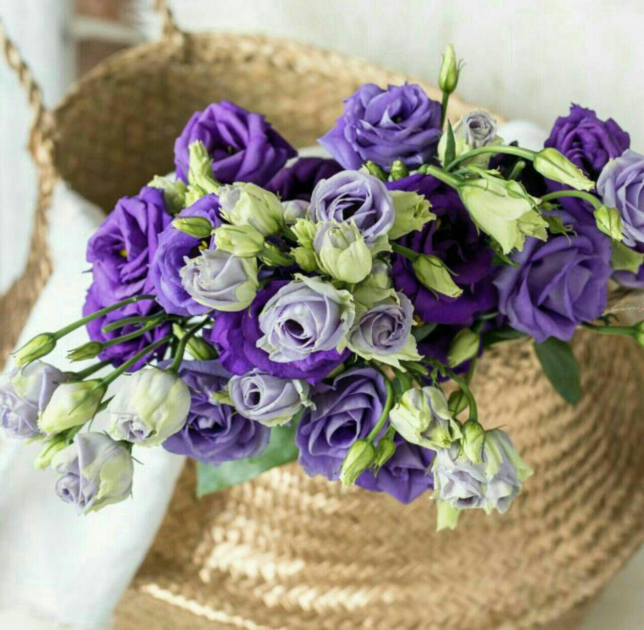 اضغط على الصورة لعرض أكبر.&nbsp;

الإسم:	photo_2018-07-20_21-56-36.jpg&nbsp;
مشاهدات:	1&nbsp;
الحجم:	172.9 كيلوبايت&nbsp;
الهوية:	863604