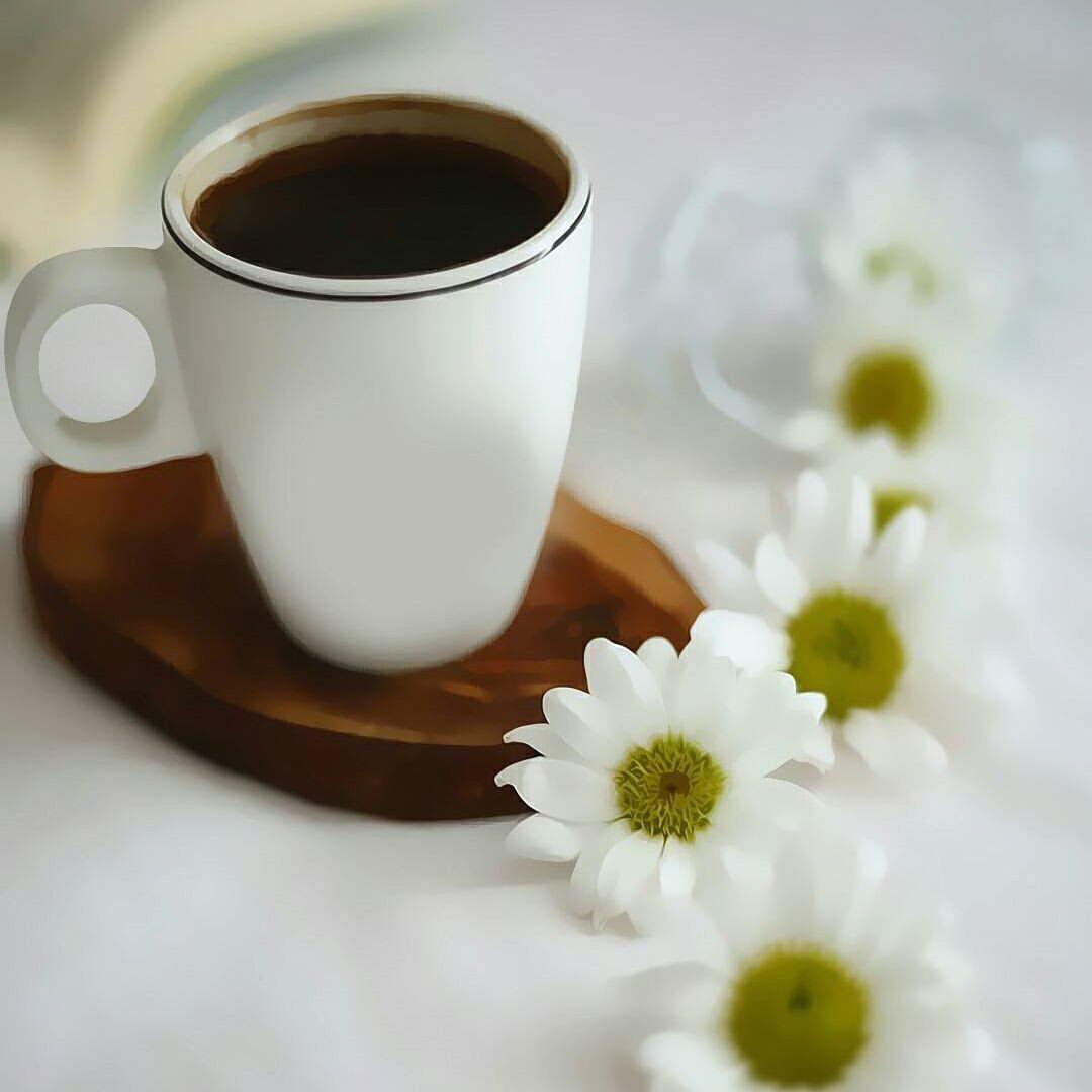 اضغط على الصورة لعرض أكبر.&nbsp;

الإسم:	photo_2018-01-04_05-34-57.jpg&nbsp;
مشاهدات:	1&nbsp;
الحجم:	53.8 كيلوبايت&nbsp;
الهوية:	863357