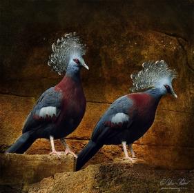 اضغط على الصورة لعرض أكبر.&nbsp;

الإسم:	64.jpg&nbsp;
مشاهدات:	1&nbsp;
الحجم:	15.7 كيلوبايت&nbsp;
الهوية:	849470