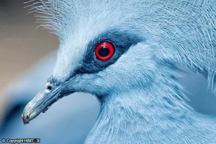 اضغط على الصورة لعرض أكبر.&nbsp;

الإسم:	66.jpg&nbsp;
مشاهدات:	1&nbsp;
الحجم:	23.2 كيلوبايت&nbsp;
الهوية:	849472