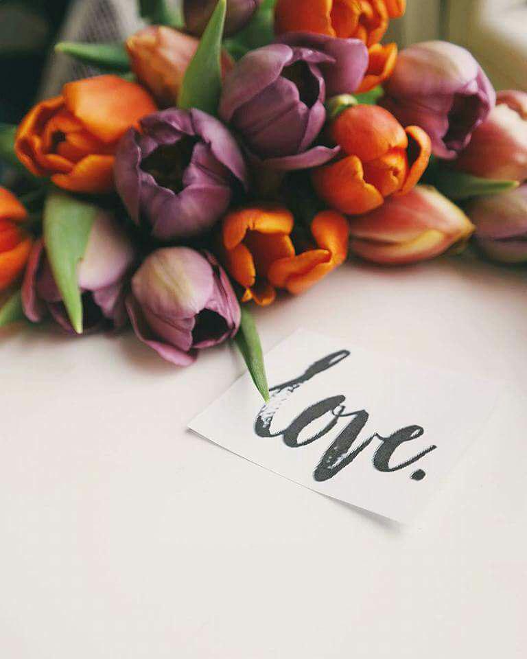 اضغط على الصورة لعرض أكبر.&nbsp;

الإسم:	photo_2018-02-12_10-26-04.jpg&nbsp;
مشاهدات:	1&nbsp;
الحجم:	51.4 كيلوبايت&nbsp;
الهوية:	863886