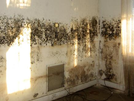 اضغط على الصورة لعرض أكبر.&nbsp;

الإسم:	436x328_46249_159092.jpg&nbsp;
مشاهدات:	1&nbsp;
الحجم:	24.9 كيلوبايت&nbsp;
الهوية:	847685