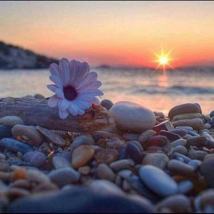 اضغط على الصورة لعرض أكبر.&nbsp;

الإسم:	photo_2017-07-26_18-46-33.jpg&nbsp;
مشاهدات:	3&nbsp;
الحجم:	42.0 كيلوبايت&nbsp;
الهوية:	861600