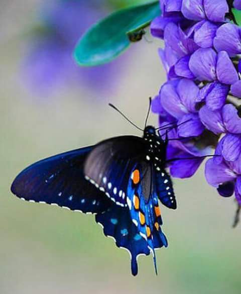 اضغط على الصورة لعرض أكبر.&nbsp;

الإسم:	FB_IMG_1488086718964.jpg&nbsp;
مشاهدات:	2&nbsp;
الحجم:	23.7 كيلوبايت&nbsp;
الهوية:	862403