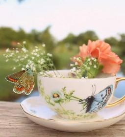 اضغط على الصورة لعرض أكبر.&nbsp;

الإسم:	received_822007934627405.jpg&nbsp;
مشاهدات:	1&nbsp;
الحجم:	11.3 كيلوبايت&nbsp;
الهوية:	863873