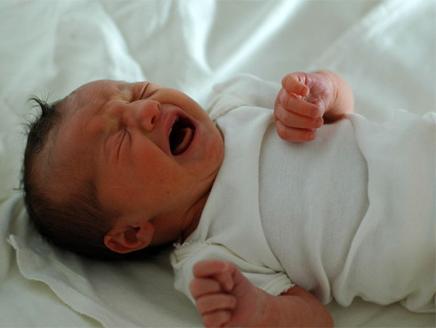 اضغط على الصورة لعرض أكبر.&nbsp;

الإسم:	436x328_16690_158919.jpg&nbsp;
مشاهدات:	1&nbsp;
الحجم:	13.8 كيلوبايت&nbsp;
الهوية:	847684