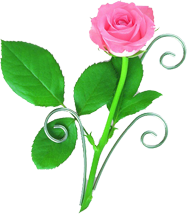 اضغط على الصورة لعرض أكبر.&nbsp;

الإسم:	13175505814.png&nbsp;
مشاهدات:	1&nbsp;
الحجم:	56.6 كيلوبايت&nbsp;
الهوية:	830194