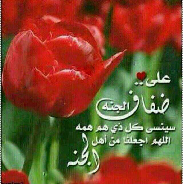 اضغط على الصورة لعرض أكبر.&nbsp;

الإسم:	ضفاف الجنه.jpg&nbsp;
مشاهدات:	1&nbsp;
الحجم:	112.4 كيلوبايت&nbsp;
الهوية:	860933