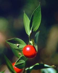 اضغط على الصورة لعرض أكبر.&nbsp;

الإسم:	77.jpg&nbsp;
مشاهدات:	1&nbsp;
الحجم:	8.4 كيلوبايت&nbsp;
الهوية:	849566