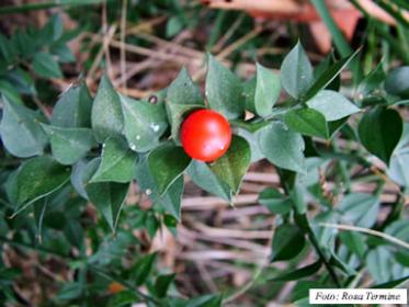 اضغط على الصورة لعرض أكبر.&nbsp;

الإسم:	81.jpg&nbsp;
مشاهدات:	1&nbsp;
الحجم:	21.7 كيلوبايت&nbsp;
الهوية:	849568