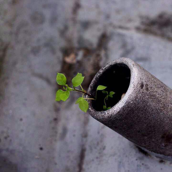 اضغط على الصورة لعرض أكبر.&nbsp;

الإسم:	photo_2016-12-21_21-06-13.jpg&nbsp;
مشاهدات:	2&nbsp;
الحجم:	46.2 كيلوبايت&nbsp;
الهوية:	860761