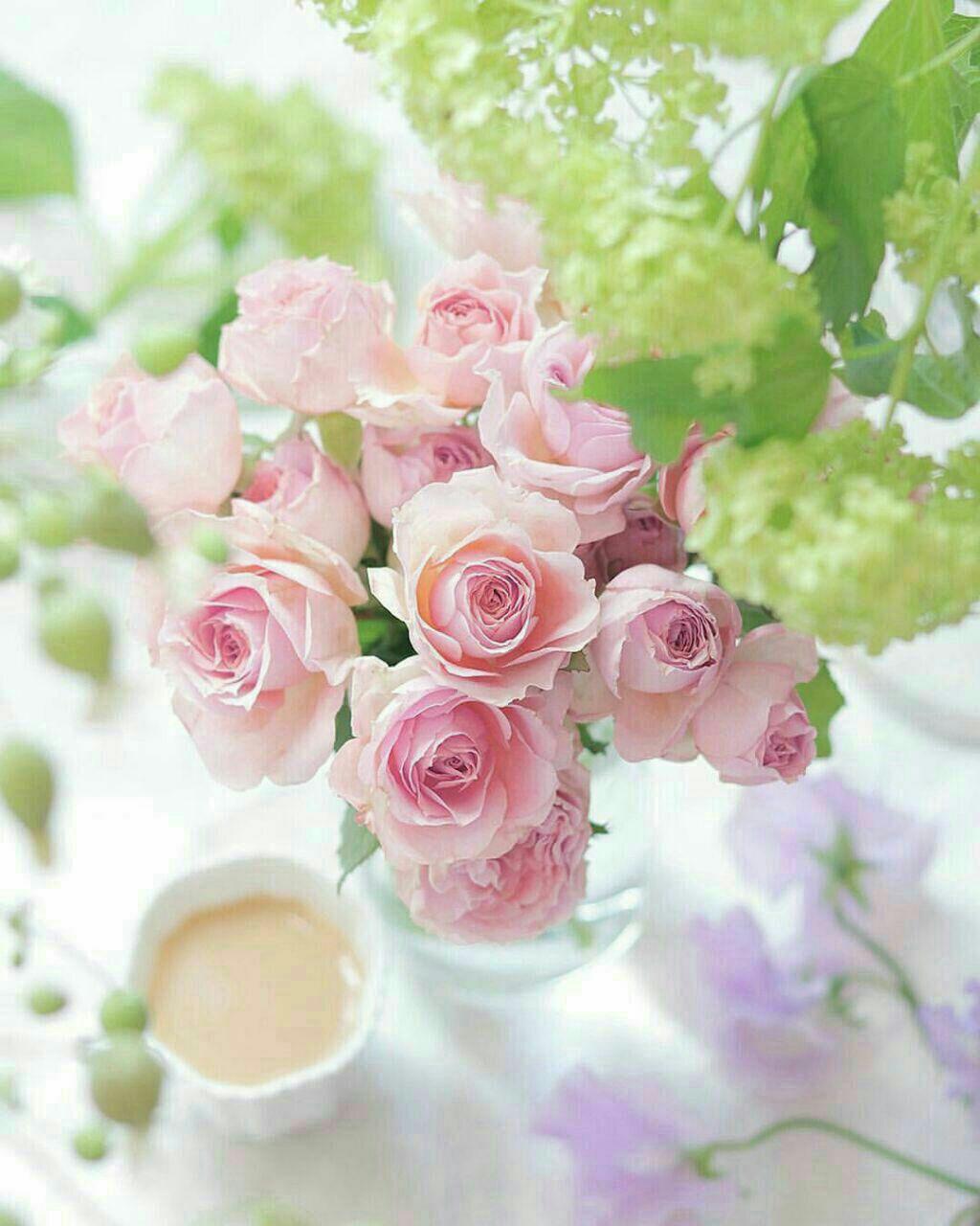 اضغط على الصورة لعرض أكبر.&nbsp;

الإسم:	photo_2018-07-20_21-50-04.jpg&nbsp;
مشاهدات:	1&nbsp;
الحجم:	113.7 كيلوبايت&nbsp;
الهوية:	862027