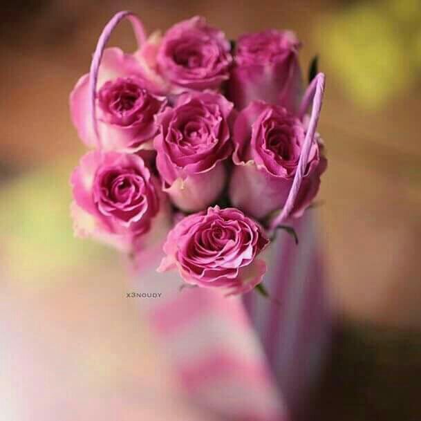 اضغط على الصورة لعرض أكبر.&nbsp;

الإسم:	image-0-02-01-02e16e5ed991b91ea9ccbb38b949df9464241ebcf7d48600e30175fd7f798f07-V.jpg&nbsp;
مشاهدات:	1&nbsp;
الحجم:	42.9 كيلوبايت&nbsp;
الهوية:	841106