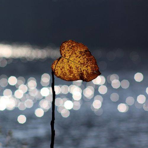 اضغط على الصورة لعرض أكبر.&nbsp;

الإسم:	10698634_890176977689238_7730078411240363904_n.jpg&nbsp;
مشاهدات:	1&nbsp;
الحجم:	24.9 كيلوبايت&nbsp;
الهوية:	855367