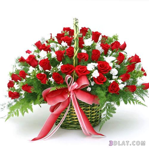 اضغط على الصورة لعرض أكبر.&nbsp;

الإسم:	images_tstc.jpg&nbsp;
مشاهدات:	1&nbsp;
الحجم:	47.1 كيلوبايت&nbsp;
الهوية:	834322