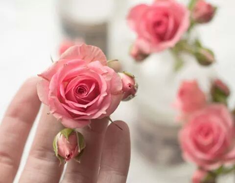 اضغط على الصورة لعرض أكبر.&nbsp;

الإسم:	FB_IMG_1485750169781.jpg&nbsp;
مشاهدات:	2&nbsp;
الحجم:	20.0 كيلوبايت&nbsp;
الهوية:	862404