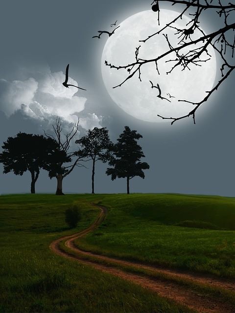 اضغط على الصورة لعرض أكبر.&nbsp;

الإسم:	17742128_743530312475168_744889719_n.jpg&nbsp;
مشاهدات:	1&nbsp;
الحجم:	43.8 كيلوبايت&nbsp;
الهوية:	860311