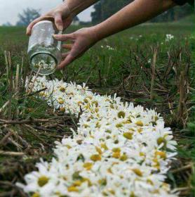 اضغط على الصورة لعرض أكبر.&nbsp;

الإسم:	received_755814187913447.jpg&nbsp;
مشاهدات:	1&nbsp;
الحجم:	20.2 كيلوبايت&nbsp;
الهوية:	841107