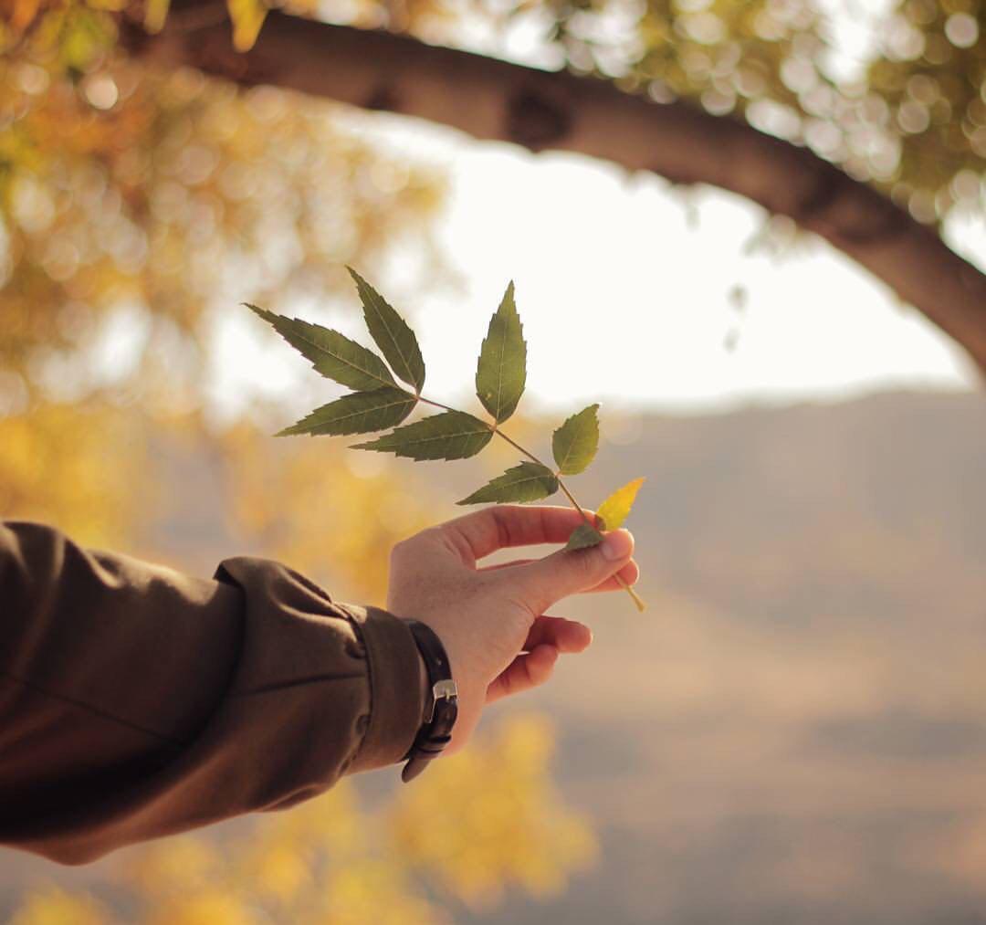 اضغط على الصورة لعرض أكبر.&nbsp;

الإسم:	photo_2018-04-05_20-38-52.jpg&nbsp;
مشاهدات:	1&nbsp;
الحجم:	63.2 كيلوبايت&nbsp;
الهوية:	862402