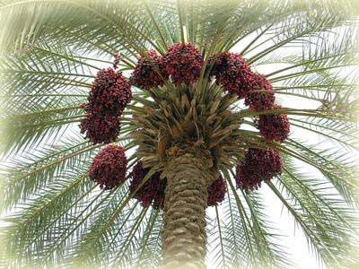 اضغط على الصورة لعرض أكبر.&nbsp;

الإسم:	21212.jpg&nbsp;
مشاهدات:	1&nbsp;
الحجم:	48.0 كيلوبايت&nbsp;
الهوية:	848548