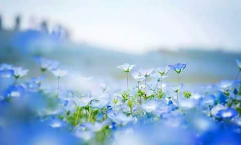 اضغط على الصورة لعرض أكبر.&nbsp;

الإسم:	FB_IMG_1478054624871.jpg&nbsp;
مشاهدات:	1&nbsp;
الحجم:	10.9 كيلوبايت&nbsp;
الهوية:	862105