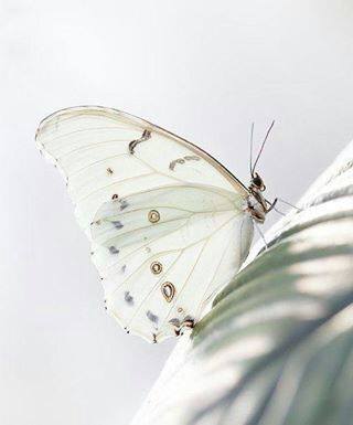 اضغط على الصورة لعرض أكبر.&nbsp;

الإسم:	1376398_233016083519499_135101427_n.jpg&nbsp;
مشاهدات:	1&nbsp;
الحجم:	12.0 كيلوبايت&nbsp;
الهوية:	863421