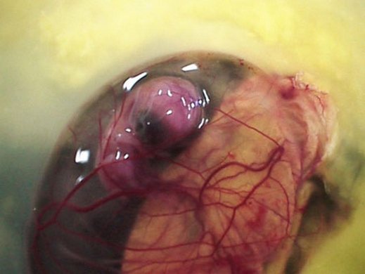 اضغط على الصورة لعرض أكبر.&nbsp;

الإسم:	6.jpg&nbsp;
مشاهدات:	1&nbsp;
الحجم:	25.8 كيلوبايت&nbsp;
الهوية:	847363