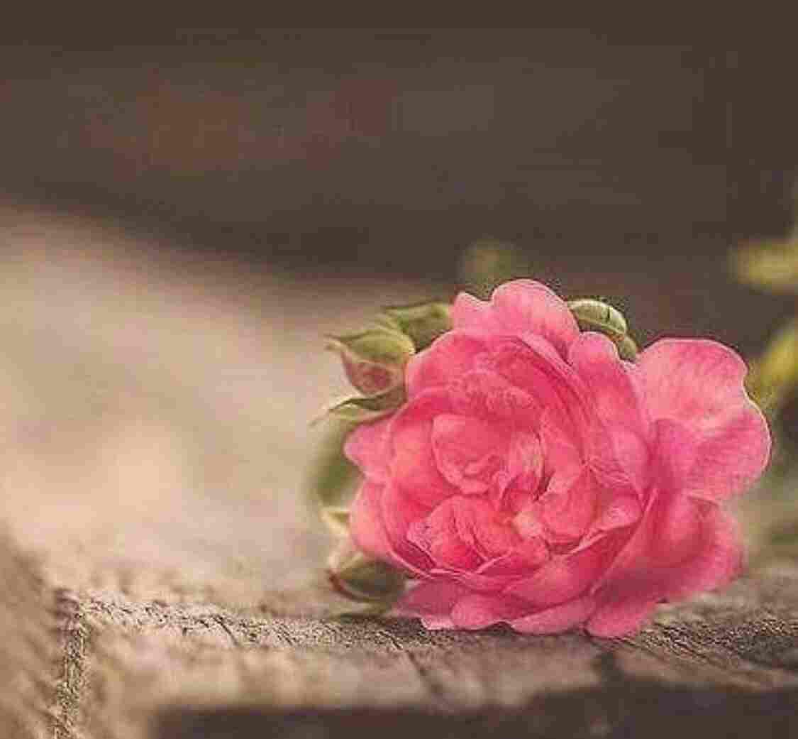 اضغط على الصورة لعرض أكبر.&nbsp;

الإسم:	photo_2017-06-20_01-23-41.jpg&nbsp;
مشاهدات:	1&nbsp;
الحجم:	45.5 كيلوبايت&nbsp;
الهوية:	862121