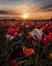 اضغط على الصورة لعرض أكبر.&nbsp;

الإسم:	received_773802576114608.jpg&nbsp;
مشاهدات:	2&nbsp;
الحجم:	14.0 كيلوبايت&nbsp;
الهوية:	841103