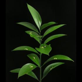 اضغط على الصورة لعرض أكبر.&nbsp;

الإسم:	75.jpg&nbsp;
مشاهدات:	1&nbsp;
الحجم:	7.8 كيلوبايت&nbsp;
الهوية:	849564