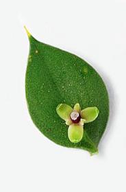 اضغط على الصورة لعرض أكبر.&nbsp;

الإسم:	74.jpg&nbsp;
مشاهدات:	1&nbsp;
الحجم:	6.0 كيلوبايت&nbsp;
الهوية:	849563