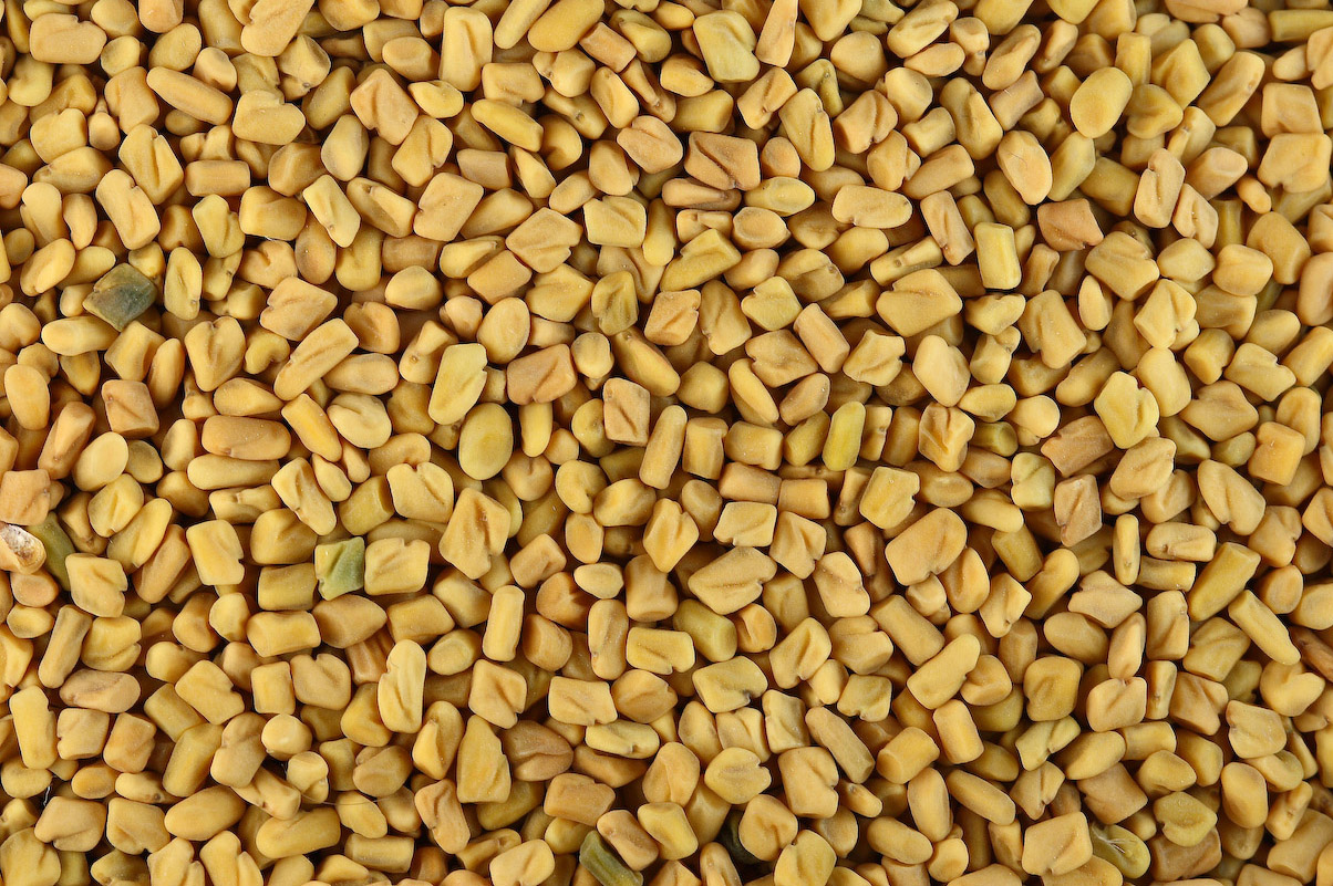 اضغط على الصورة لعرض أكبر.&nbsp;

الإسم:	fenugreek_seeds.jpg&nbsp;
مشاهدات:	1&nbsp;
الحجم:	420.0 كيلوبايت&nbsp;
الهوية:	849108
