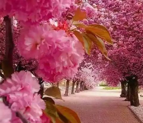 اضغط على الصورة لعرض أكبر.&nbsp;

الإسم:	16807708_156015618243512_364477191690760691_n.jpg&nbsp;
مشاهدات:	1&nbsp;
الحجم:	41.5 كيلوبايت&nbsp;
الهوية:	861087