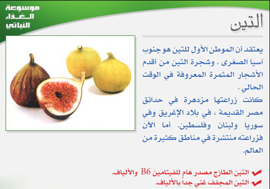 اضغط على الصورة لعرض أكبر.&nbsp;

الإسم:	fgt.jpg&nbsp;
مشاهدات:	1&nbsp;
الحجم:	65.7 كيلوبايت&nbsp;
الهوية:	849587