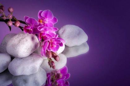 اضغط على الصورة لعرض أكبر.&nbsp;

الإسم:	received_750858925075640.jpg&nbsp;
مشاهدات:	1&nbsp;
الحجم:	14.3 كيلوبايت&nbsp;
الهوية:	840965