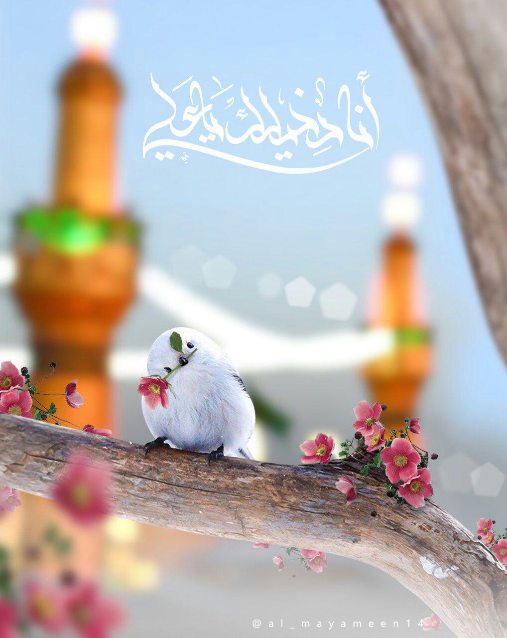 اضغط على الصورة لعرض أكبر.&nbsp;

الإسم:	photo_2017-10-04_23-39-22.jpg&nbsp;
مشاهدات:	1&nbsp;
الحجم:	121.0 كيلوبايت&nbsp;
الهوية:	861709