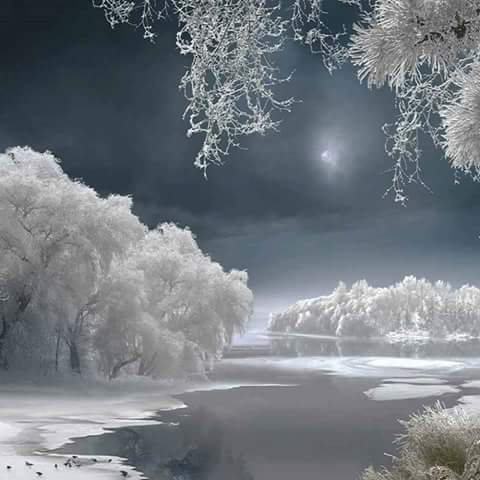 اضغط على الصورة لعرض أكبر.&nbsp;

الإسم:	FB_IMG_1480940156941.jpg&nbsp;
مشاهدات:	1&nbsp;
الحجم:	26.2 كيلوبايت&nbsp;
الهوية:	861184