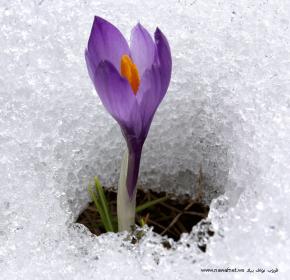 اضغط على الصورة لعرض أكبر.&nbsp;

الإسم:	807283910.jpg&nbsp;
مشاهدات:	1&nbsp;
الحجم:	15.3 كيلوبايت&nbsp;
الهوية:	847688