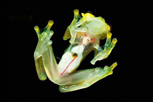 اضغط على الصورة لعرض أكبر.&nbsp;

الإسم:	d91c00c9a3368c17f0f50ba35b38c0aa.jpg&nbsp;
مشاهدات:	1&nbsp;
الحجم:	85.7 كيلوبايت&nbsp;
الهوية:	847464