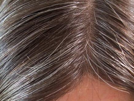 اضغط على الصورة لعرض أكبر.&nbsp;

الإسم:	436x328_76181_163860.jpg&nbsp;
مشاهدات:	1&nbsp;
الحجم:	36.4 كيلوبايت&nbsp;
الهوية:	847871