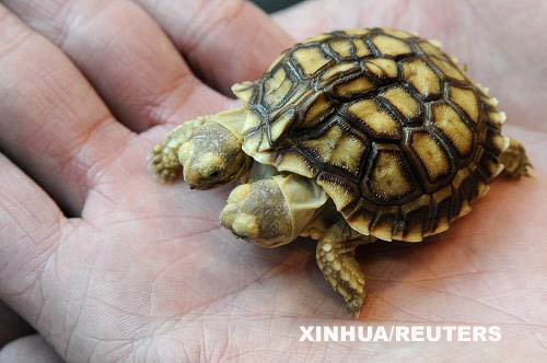 اضغط على الصورة لعرض أكبر.&nbsp;

الإسم:	20_17098.jpg&nbsp;
مشاهدات:	1&nbsp;
الحجم:	46.4 كيلوبايت&nbsp;
الهوية:	850218
