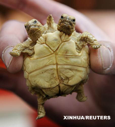 اضغط على الصورة لعرض أكبر.&nbsp;

الإسم:	20_17097.jpg&nbsp;
مشاهدات:	1&nbsp;
الحجم:	46.7 كيلوبايت&nbsp;
الهوية:	850217