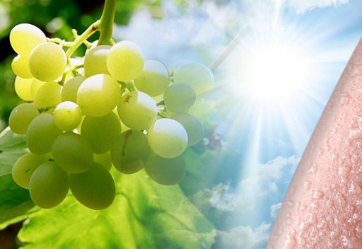 اضغط على الصورة لعرض أكبر.&nbsp;

الإسم:	crom.jpg&nbsp;
مشاهدات:	1&nbsp;
الحجم:	26.8 كيلوبايت&nbsp;
الهوية:	847776