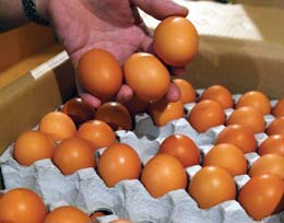 اضغط على الصورة لعرض أكبر.&nbsp;

الإسم:	Satellite.jpg&nbsp;
مشاهدات:	1&nbsp;
الحجم:	10.7 كيلوبايت&nbsp;
الهوية:	850804