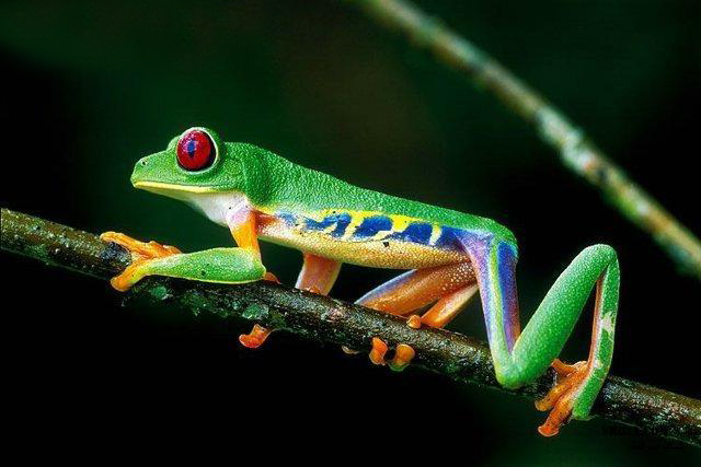 اضغط على الصورة لعرض أكبر.&nbsp;

الإسم:	f766de7eddb9553fde5d1b44296f3983.jpg&nbsp;
مشاهدات:	1&nbsp;
الحجم:	125.8 كيلوبايت&nbsp;
الهوية:	847466