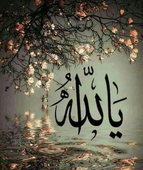 اضغط على الصورة لعرض أكبر.&nbsp;

الإسم:	IMG_20160319_223724.jpg&nbsp;
مشاهدات:	1&nbsp;
الحجم:	54.0 كيلوبايت&nbsp;
الهوية:	860049