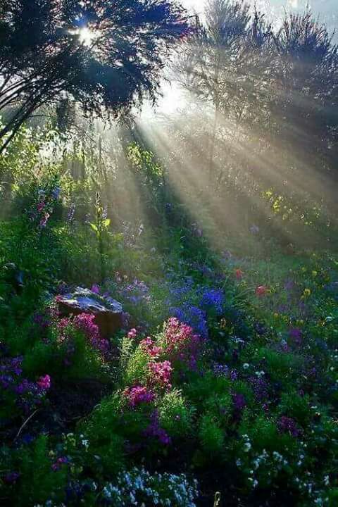 اضغط على الصورة لعرض أكبر.&nbsp;

الإسم:	IMG-20170403-WA0061.jpg&nbsp;
مشاهدات:	1&nbsp;
الحجم:	79.8 كيلوبايت&nbsp;
الهوية:	862056